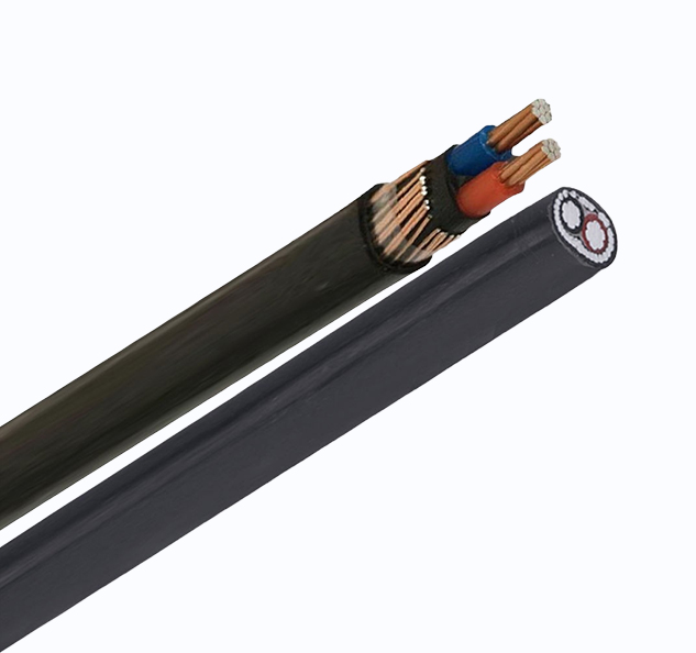 Concentric Cable