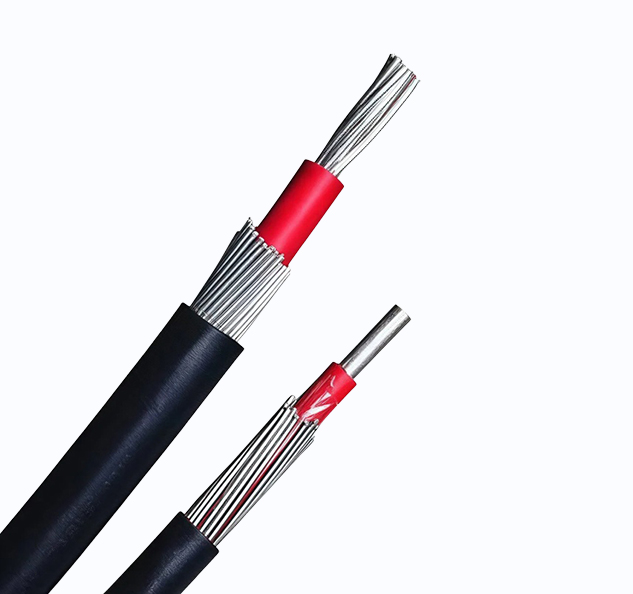 Concentric Cable