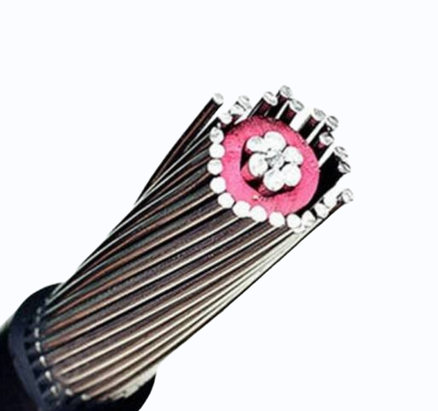 Concentric Cable