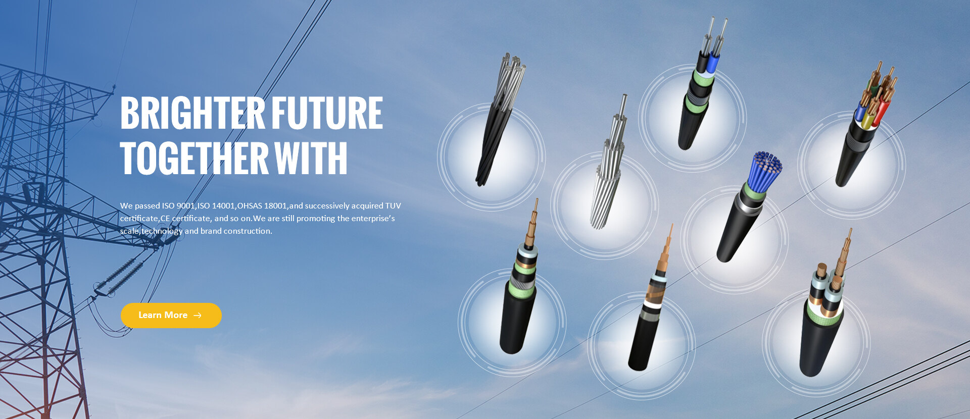 Henan Qifan Electric Co., Ltd.