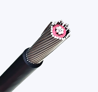 Concentric Cable