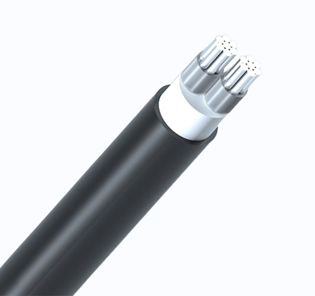0.6/1kV XLPE Insulated Power Cable
