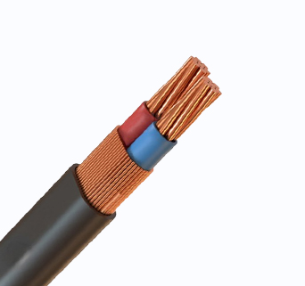 Concentric Cable